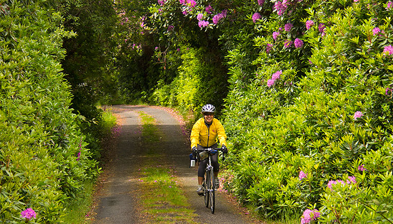 Birq-ireland-biking